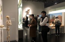 IMG_0055